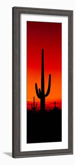 Silhouette of Saguaro Cactus at Sunset, Arizona, Usa-null-Framed Photographic Print