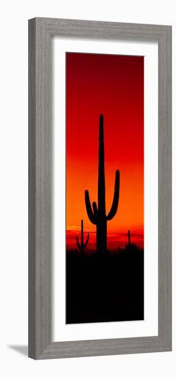 Silhouette of Saguaro Cactus at Sunset, Arizona, Usa-null-Framed Photographic Print
