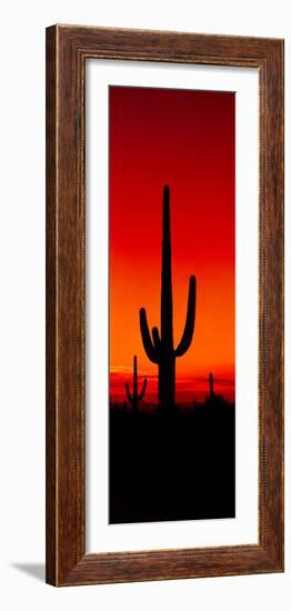 Silhouette of Saguaro Cactus at Sunset, Arizona, Usa-null-Framed Photographic Print