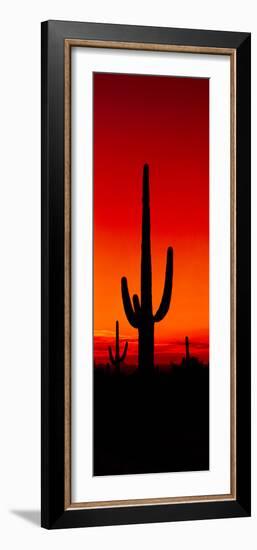 Silhouette of Saguaro Cactus at Sunset, Arizona, Usa-null-Framed Photographic Print