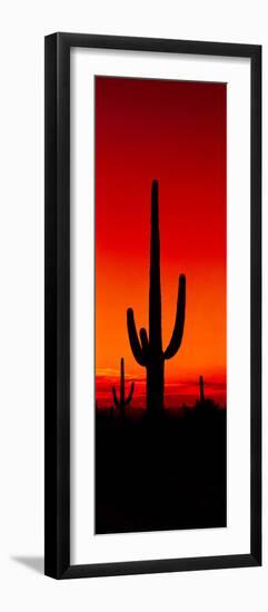 Silhouette of Saguaro Cactus at Sunset, Arizona, Usa--Framed Photographic Print