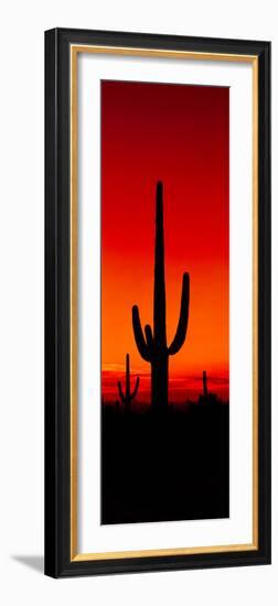 Silhouette of Saguaro Cactus at Sunset, Arizona, Usa-null-Framed Photographic Print