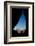 Silhouette of Tear Drop Arch and Dog, Monument Valley, Arizona-Michel Hersen-Framed Photographic Print