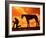 Silhouette of the Cowboy Sculpture, Henrietta, Texas, USA-Bill Bachmann-Framed Photographic Print