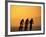 Silhouette of Three Men Riding on the Beach-Mitch Diamond-Framed Photographic Print