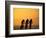 Silhouette of Three Men Riding on the Beach-Mitch Diamond-Framed Photographic Print