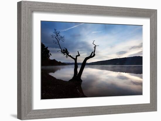 Silhouette of Tree Against Lake-Mark Sunderland-Framed Photographic Print