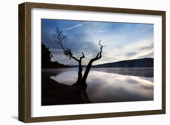 Silhouette of Tree Against Lake-Mark Sunderland-Framed Photographic Print