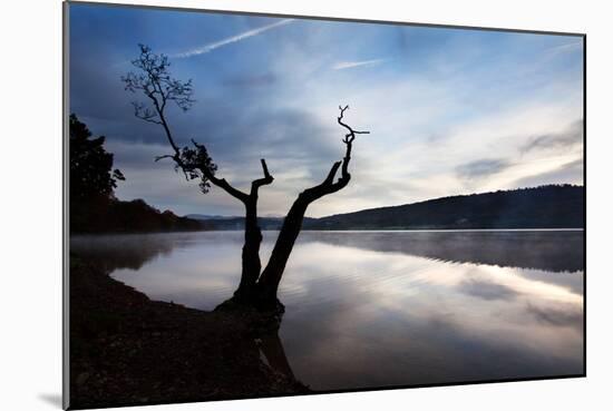 Silhouette of Tree Against Lake-Mark Sunderland-Mounted Photographic Print