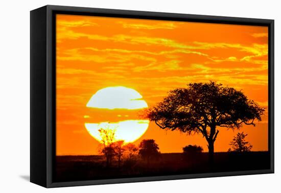 Silhouette of Trees in Forest at Dusk, Ndutu, Ngorongoro Conservation Area, Tanzania-null-Framed Stretched Canvas
