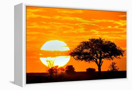 Silhouette of Trees in Forest at Dusk, Ndutu, Ngorongoro Conservation Area, Tanzania-null-Framed Stretched Canvas