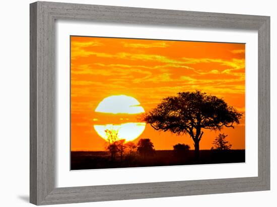 Silhouette of Trees in Forest at Dusk, Ndutu, Ngorongoro Conservation Area, Tanzania-null-Framed Photographic Print