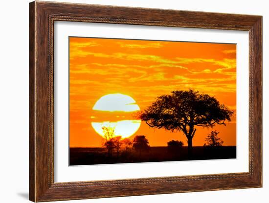 Silhouette of Trees in Forest at Dusk, Ndutu, Ngorongoro Conservation Area, Tanzania-null-Framed Photographic Print