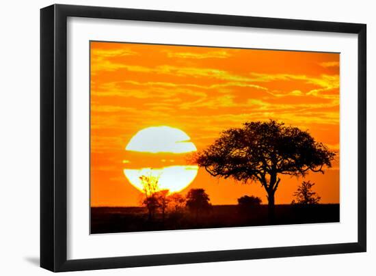 Silhouette of Trees in Forest at Dusk, Ndutu, Ngorongoro Conservation Area, Tanzania-null-Framed Photographic Print
