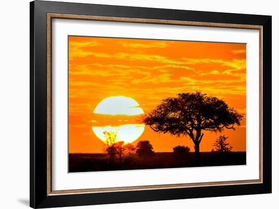 Silhouette of Trees in Forest at Dusk, Ndutu, Ngorongoro Conservation Area, Tanzania-null-Framed Photographic Print