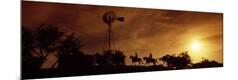Photographic Print
