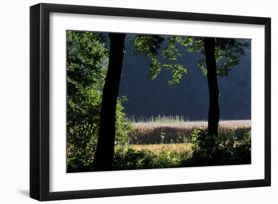 Silhouette of Two Trees at Moyland, Schloss - Germany-Florian Monheim-Framed Photographic Print