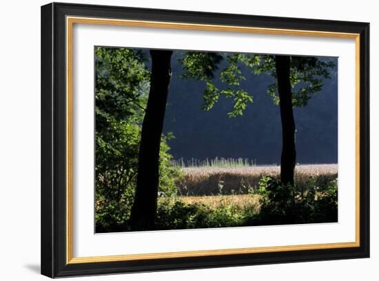 Silhouette of Two Trees at Moyland, Schloss - Germany-Florian Monheim-Framed Photographic Print