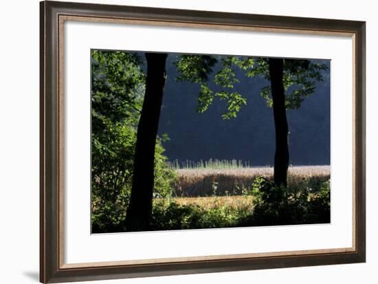 Silhouette of Two Trees at Moyland, Schloss - Germany-Florian Monheim-Framed Photographic Print