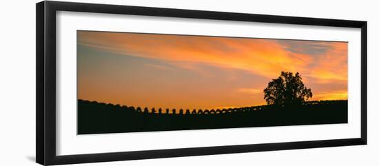 Silhouette of Vineyard at Sunset, Paso Robles, San Luis Obispo County, California, Usa-null-Framed Photographic Print