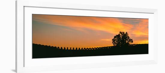 Silhouette of Vineyard at Sunset, Paso Robles, San Luis Obispo County, California, Usa-null-Framed Photographic Print