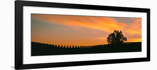 Silhouette of Vineyard at Sunset, Paso Robles, San Luis Obispo County, California, Usa-null-Framed Photographic Print