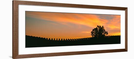 Silhouette of Vineyard at Sunset, Paso Robles, San Luis Obispo County, California, Usa-null-Framed Photographic Print