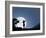 Silhouette of Woman Playing Violin at Night-Sergey Nivens-Framed Photographic Print