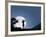 Silhouette of Woman Playing Violin at Night-Sergey Nivens-Framed Photographic Print