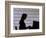 Silhouette of Woman Working on Computer-Bill Bachmann-Framed Photographic Print