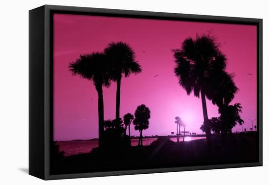 Silhouette Palm Trees at Sunset-Philippe Hugonnard-Framed Premier Image Canvas