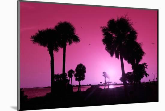 Silhouette Palm Trees at Sunset-Philippe Hugonnard-Mounted Photographic Print