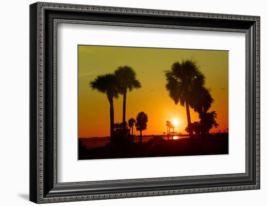 Silhouette Palm Trees at Sunset-Philippe Hugonnard-Framed Photographic Print