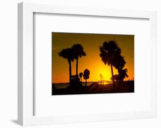 Silhouette Palm Trees at Sunset-Philippe Hugonnard-Framed Photographic Print