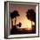 Silhouette Palm Trees at Sunset-Philippe Hugonnard-Framed Photographic Print