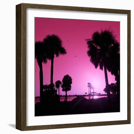 Silhouette Palm Trees at Sunset-Philippe Hugonnard-Framed Photographic Print