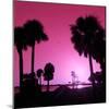 Silhouette Palm Trees at Sunset-Philippe Hugonnard-Mounted Photographic Print