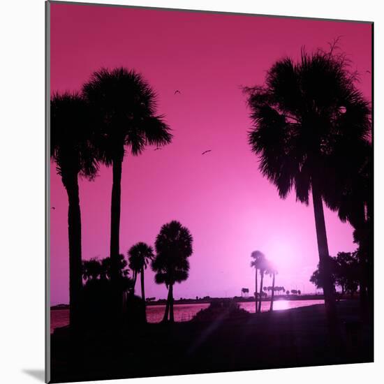 Silhouette Palm Trees at Sunset-Philippe Hugonnard-Mounted Photographic Print