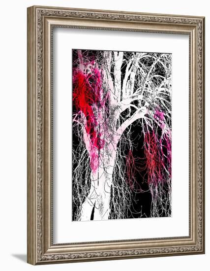 Silhouette with Red-Ursula Abresch-Framed Photographic Print