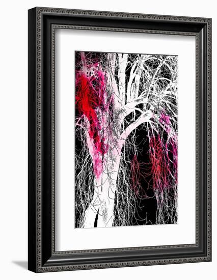 Silhouette with Red-Ursula Abresch-Framed Photographic Print