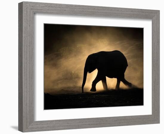 SILHOUETTE-Jaco Marx-Framed Photographic Print