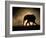 SILHOUETTE-Jaco Marx-Framed Photographic Print