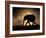 SILHOUETTE-Jaco Marx-Framed Photographic Print