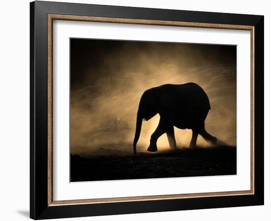 SILHOUETTE-Jaco Marx-Framed Photographic Print