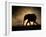 SILHOUETTE-Jaco Marx-Framed Photographic Print