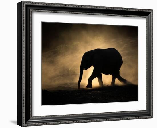 SILHOUETTE-Jaco Marx-Framed Photographic Print