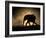 SILHOUETTE-Jaco Marx-Framed Photographic Print