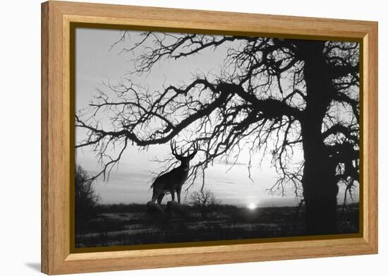 Silhouette-Gordon Semmens-Framed Premier Image Canvas