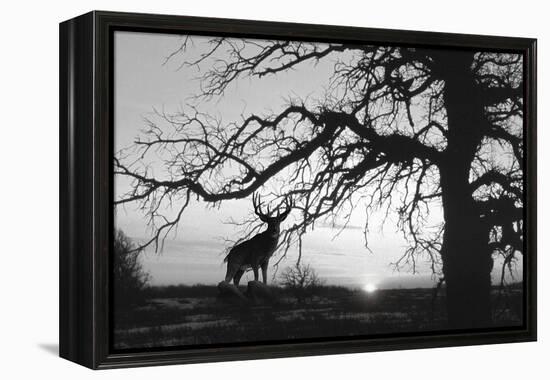 Silhouette-Gordon Semmens-Framed Premier Image Canvas