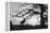 Silhouette-Gordon Semmens-Framed Premier Image Canvas